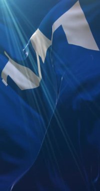 Yamagata Bölgesi, Japonya bayrağı. Döngü. 4K Dikey