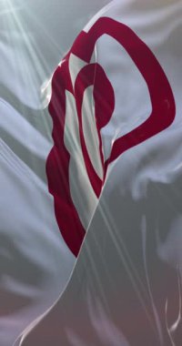 Yamaguchi şehri, Japonya bayrağı. Döngü. 4K Dikey