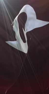 Yamaguchi Bölgesi, Japonya bayrağı. Döngü. 4K Dikey