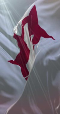 Japonya 'nın Oita ilinin bayrağı. Döngü. 4K Dikey