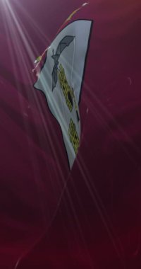 Castilla La Mancha, İspanya 'da Albacete bayrağı. 4K Dikey