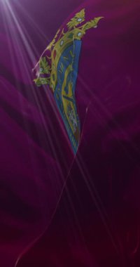 Bask Bölgesi, İspanya 'da Alava bayrağı. 4K Dikey