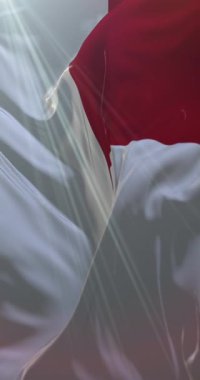 İspanya 'nın Bask Bölgesi' ndeki Bilbao şehrinin bayrağı. 4K Dikey