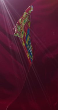 İspanya Kastilya La Mancha 'da Ciudad Real bayrağı. 4K Dikey