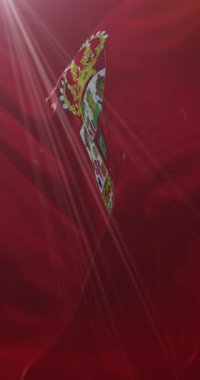 İspanya, Kastilya La Mancha 'da Ciudad Real ilinin bayrağı. 4K Dikey