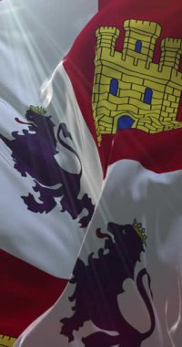 Kastilya ve Leon Özerk Topluluğu bayrağı. 4K Dikey