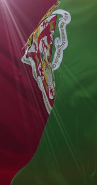 İspanya 'nın Endülüs kenti Granada' nın bayrağı. 4K Dikey