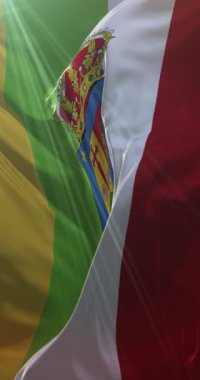 İspanya 'nın özerk La Rioja şehrinin bayrağı. 4K Dikey