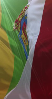 İspanya 'nın La Rioja şehrinde bulunan La Rioja ilinin bayrağı. 4K Dikey