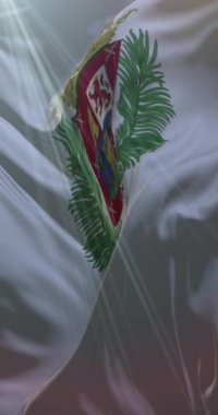 İspanya, Kanarya Adaları 'ndaki Las Palmas şehrinin bayrağı. Döngü. 4K Dikey