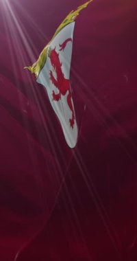 Leon vilayetinin Kastilya ve Leon, İspanya bayrağı. 4K Dikey