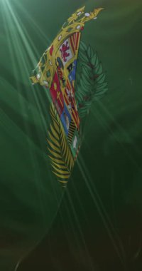 İspanya 'nın Katalonya eyaletinde bulunan Lleida eyaletinin bayrağı. 4K Dikey