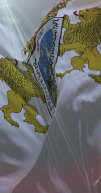 İspanya 'nın Galiçya kenti Lugo' nun bayrağı. 4K Dikey