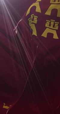 Murcia Bölgesi Bayrağı, İspanya - Döngü. 4K Dikey