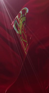 İspanya 'nın Navarre özerk bölgesinin bayrağı. 4K Dikey