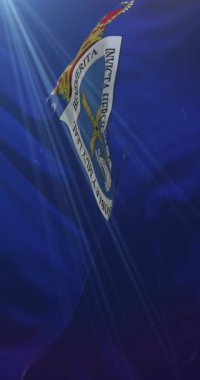 Asturias, İspanya 'da Oviedo bayrağı. 4K Dikey