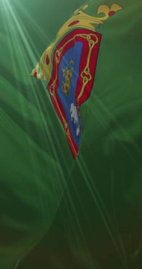 İspanya 'nın Navarre kentindeki Pamplona şehrinin bayrağı. 4K Dikey