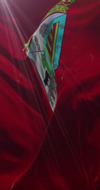 Kastilya ve Leon, İspanya 'da Salamanca bayrağı. 4K Dikey