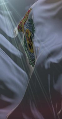 İspanya 'nın Santa Cruz de Tenerife şehrinin bayrağı