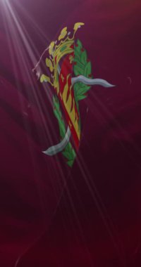 İspanya 'nın Kastilya ve İspanya' nın Valladolid şehrinin bayrağı. Döngü. 4K Dikey