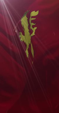 İspanya 'nın Aragon kentindeki Zaragoza şehrinin bayrağı. 4K Dikey