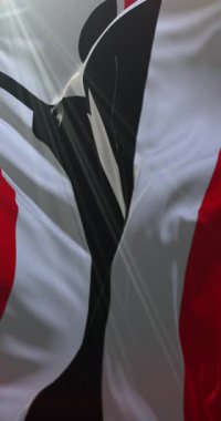 Arapaho Bayrağı. Döngü. 4K Dikey