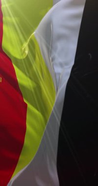 Amerikan Kızılderili Hareketi bayrağı. Döngü. 4K Dikey