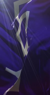 Iroquois Konfederasyonu bayrağı, Hiawatha Kuşağı. Döngü. 4K Dikey