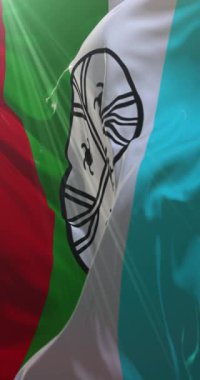 Huenteche bölge bayrağı. Döngü. 4K Dikey