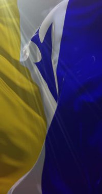 Tehuelche insanları bayrak sallıyor. Döngü. 4K Dikey