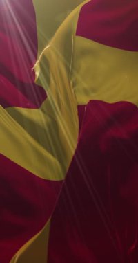 İsveççe konuşan Finlilerin bayrağı. Döngü. 4K Dikey