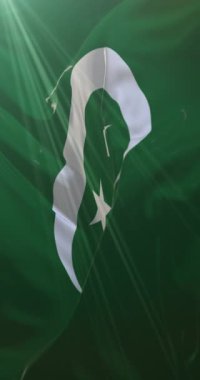 Mısır Krallığı bayrağı. Döngü. 4K Dikey