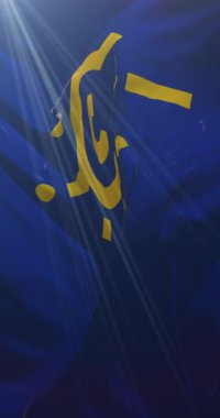 CEFTA bayrağı, Orta Avrupa Serbest Ticaret Anlaşması. Döngü. 4K Dikey