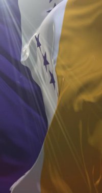 Amerikan oy hakkı hareketi, Kadın Acısının Bayrağı. Döngü. 4K Dikey