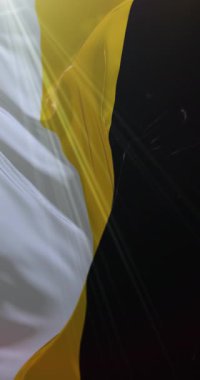 Rus İmparatorluğu ve Romanov Hanedanlığı bayrağı. Döngü. 4K Dikey