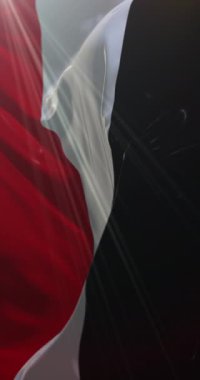 Alman İmparatorluğu bayrağı. Döngü. 4K Dikey