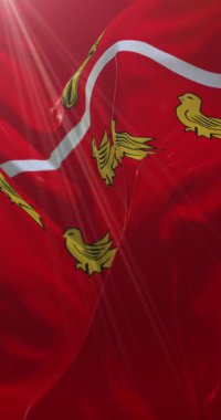 İngiltere 'nin güneydoğusunda Doğu Sussex' in bayrağı. Döngü. 4K Dikey