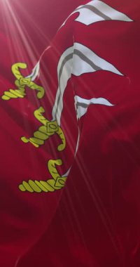 İngiltere 'nin doğusundaki Essex' in bayrağı. Döngü. 4K Dikey