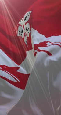 Doğu Midlands, İngiltere 'de Leicestershire ilçesi bayrağı. Döngü. 4K Dikey