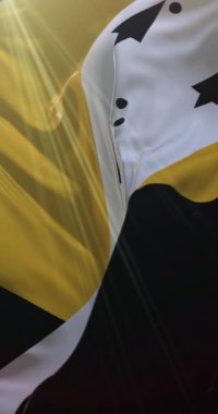 İngiltere 'nin doğusundaki Norfolk' un bayrağı. Döngü. 4K Dikey