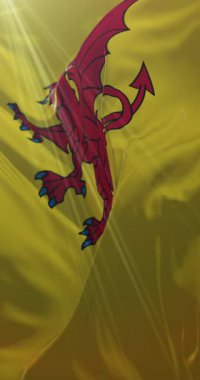 İngiltere 'nin güneybatısında Somerset ilçesi bayrağı. Döngü. 4K Dikey