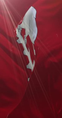 İngiltere 'nin Batı Midlands' ta Warwickshire ilçesi bayrağı. Döngü. 4K Dikey