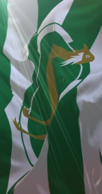 Wiltshire İlçe Bayrağı. Döngü. 4K Dikey