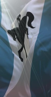 Coventry bayrağı, Batı Midlands, İngiltere, Birleşik Krallık. 4K dikey. Döngü