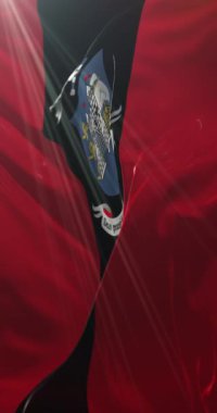 Drogheda bayrağı, İrlanda, Birleşik Krallık. 4K dikey. Döngü