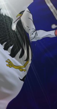 Connacht bayrağı, İrlanda, Birleşik Krallık. 4K dikey. Döngü