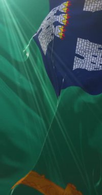 Dublin bayrağı, İrlanda 'nın başkenti. Döngü. 4K Dikey