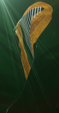 Leinster Bayrağı, İrlanda. 4K dikey. Döngü