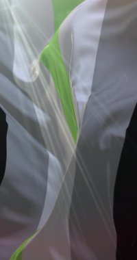 Rüzgarda sallanan cinsiyet gururu bayrağı. Döngü. 4K Dikey