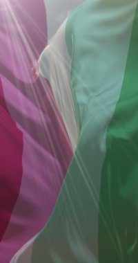 Abroseksüel gurur bayrağı sallanıyor. Döngü. 4K Dikey